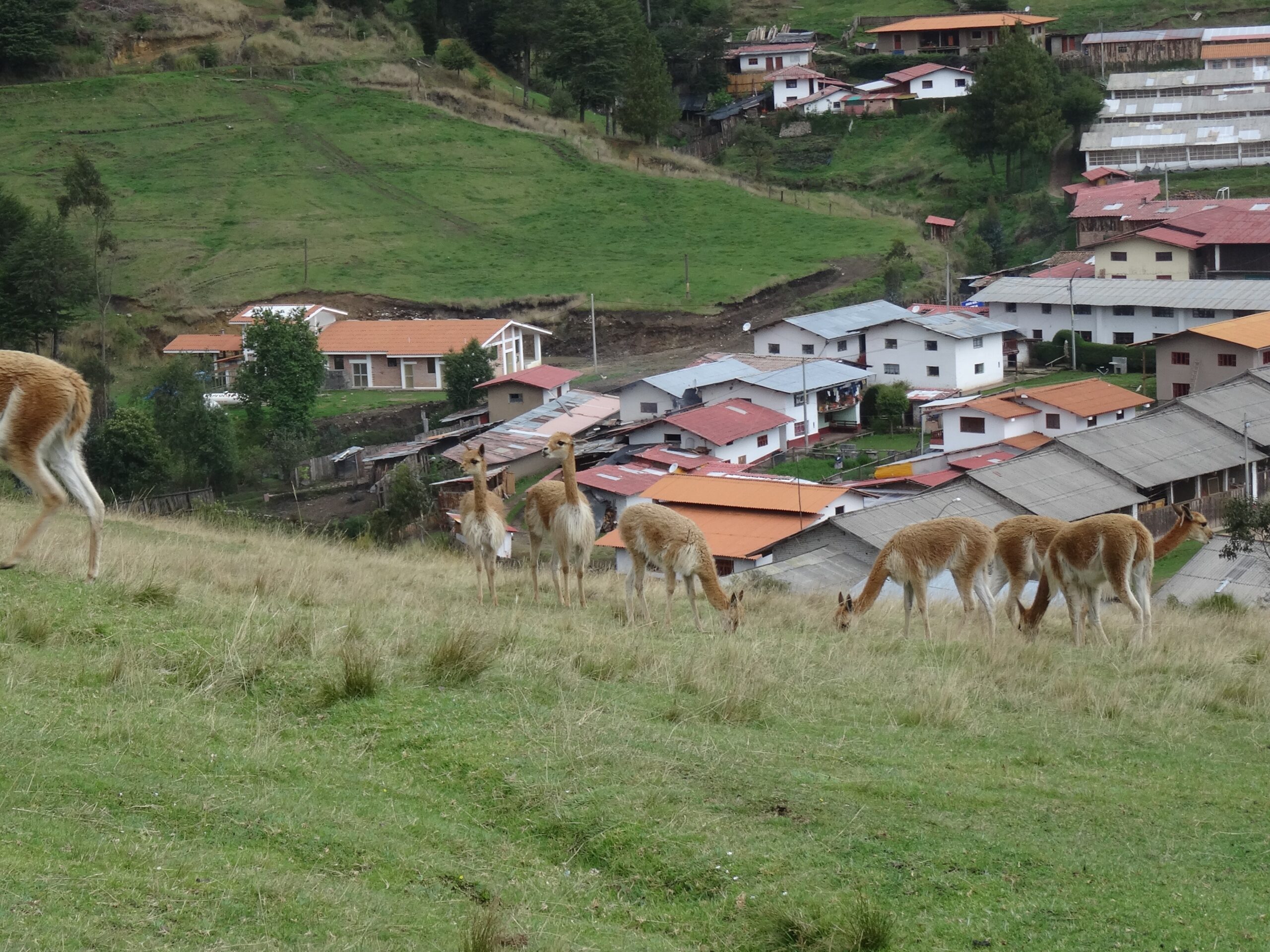 About Perú