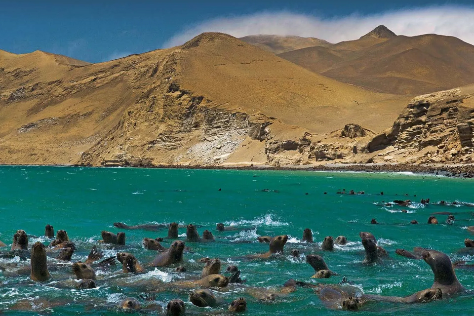 About Perú